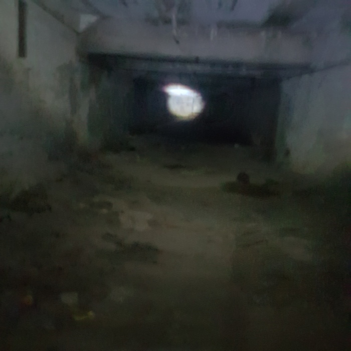   , , , , , , ,  , 
