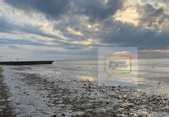 Источник: <a href="https://pikabu.ru/story/protivno_i_vonyaet_plyazh_azovskogo_morya_okazalsya_usyipan_myortvyimi_meduzami_13171652?u=https%3A%2F%2Fwww.livekuban.ru%2F&t=%D0%96%D0%B8%D0%B2%D0%B0%D1%8F%20%D0%9A%D1%83%D0%B1%D0%B0%D0%BD%D1%8C&h=fefc3cbbdf73039fb492010541ff9d780f68533b" title="https://www.livekuban.ru/" target="_blank" rel="nofollow noopener">Живая Кубань</a>