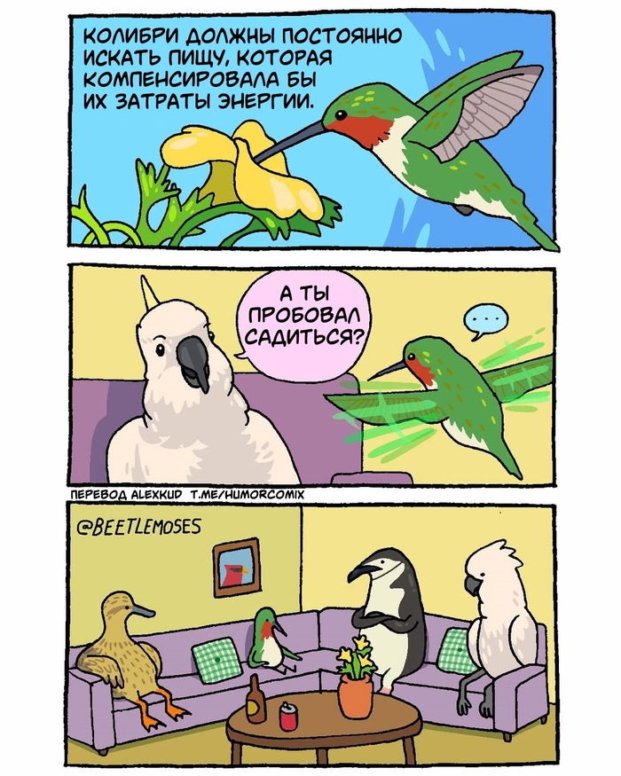        , , , , , Beetlemoses