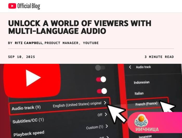 YouTube            30 