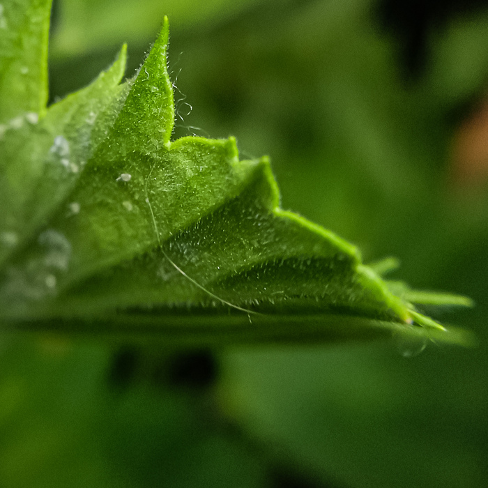   Lightroom  ,   , ,  , , , 
