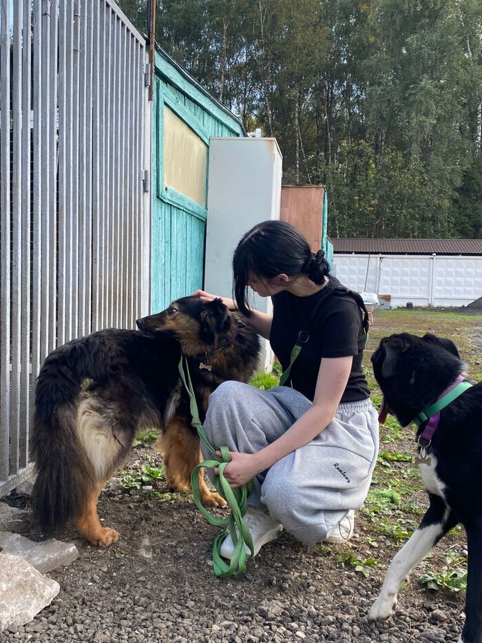 Внимание со стороны людей - важный пункт в адаптации