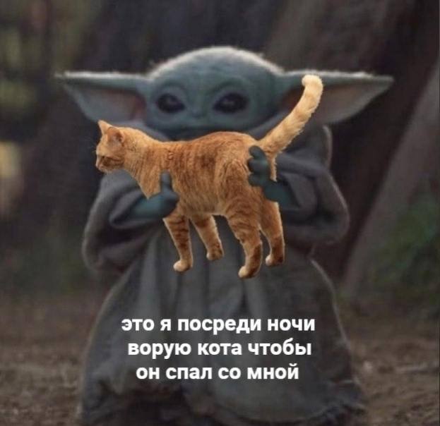       , ,  , , , , , , ,  