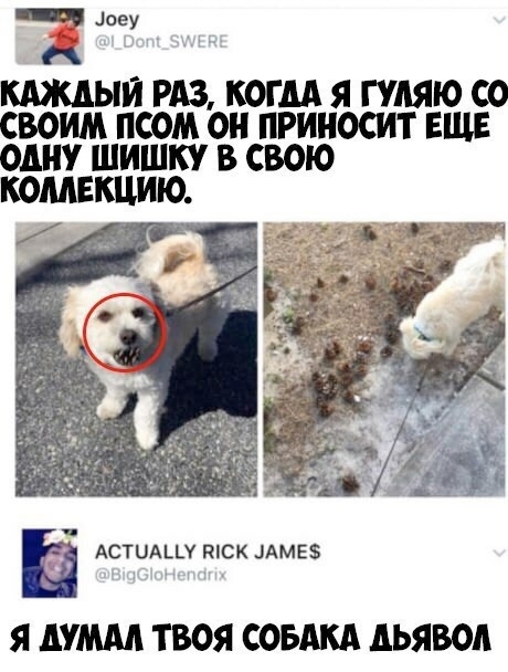    , , , , 