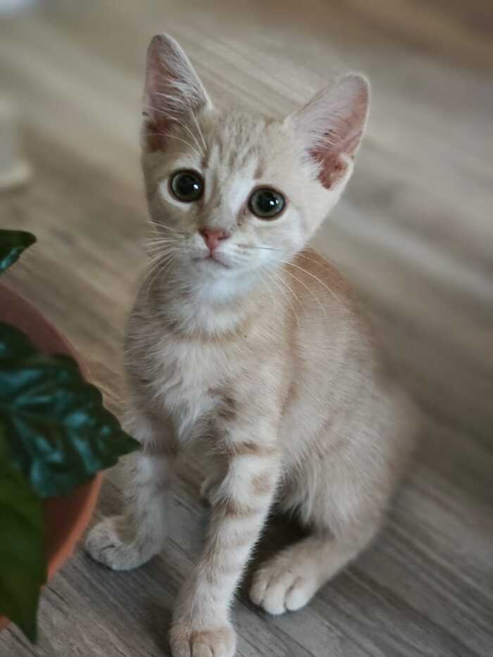      , , ,  ,  , , 