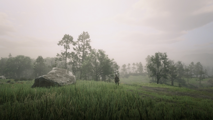    RDR2  1 Red Dead Redemption 2,  