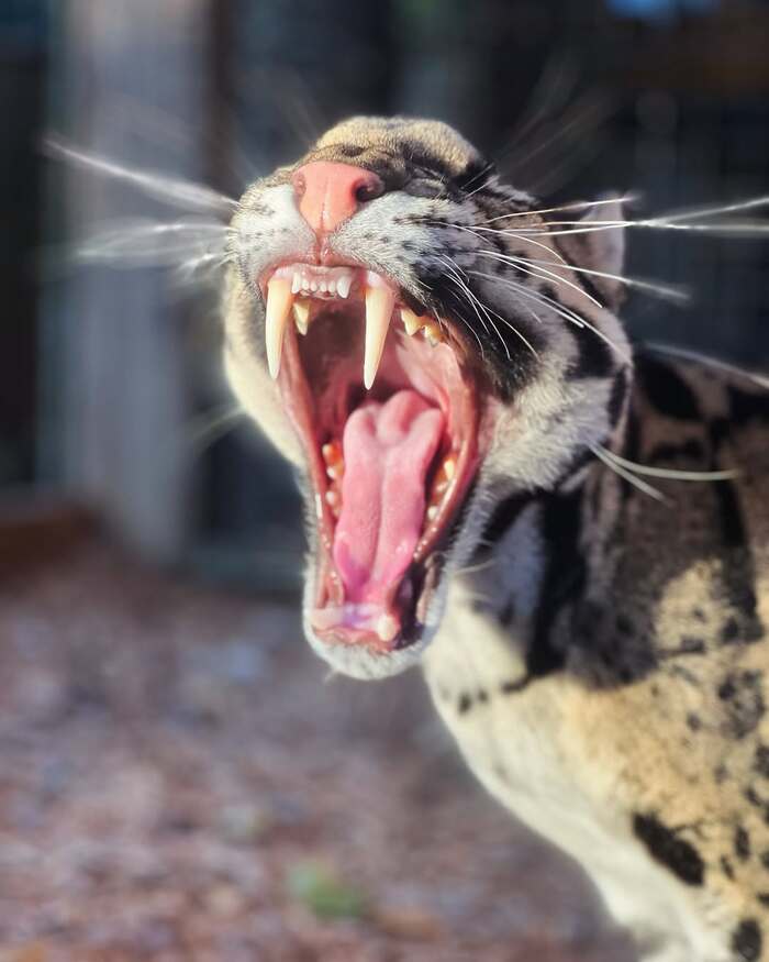    ,  ,  ,  ,  , , 