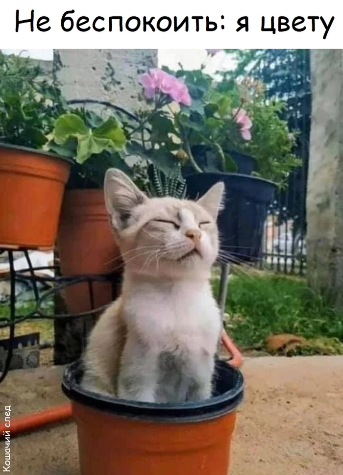   , , ,  (),   