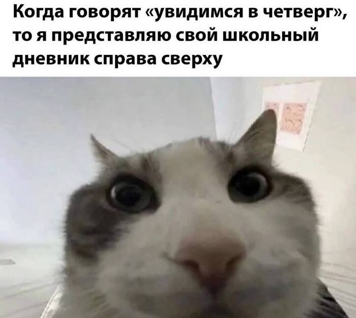     , , , , , Telegram ()