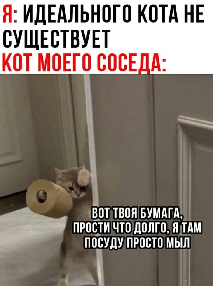    ,   , , Telegram (),  
