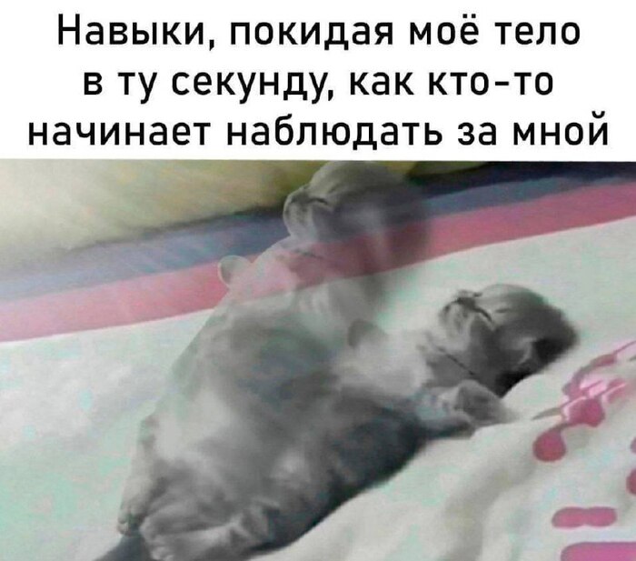 ,   ?