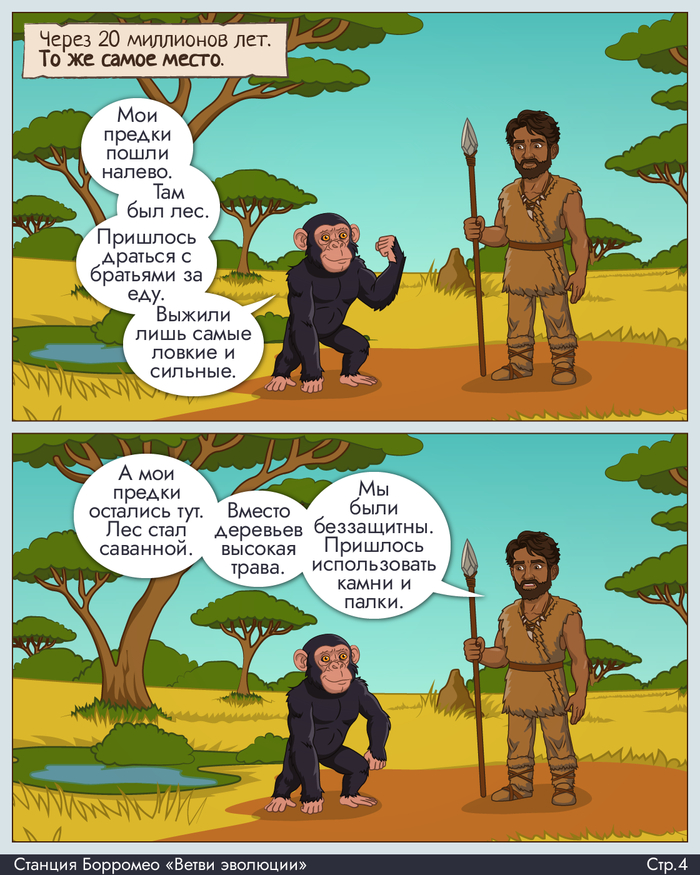 Ветви Эволюции