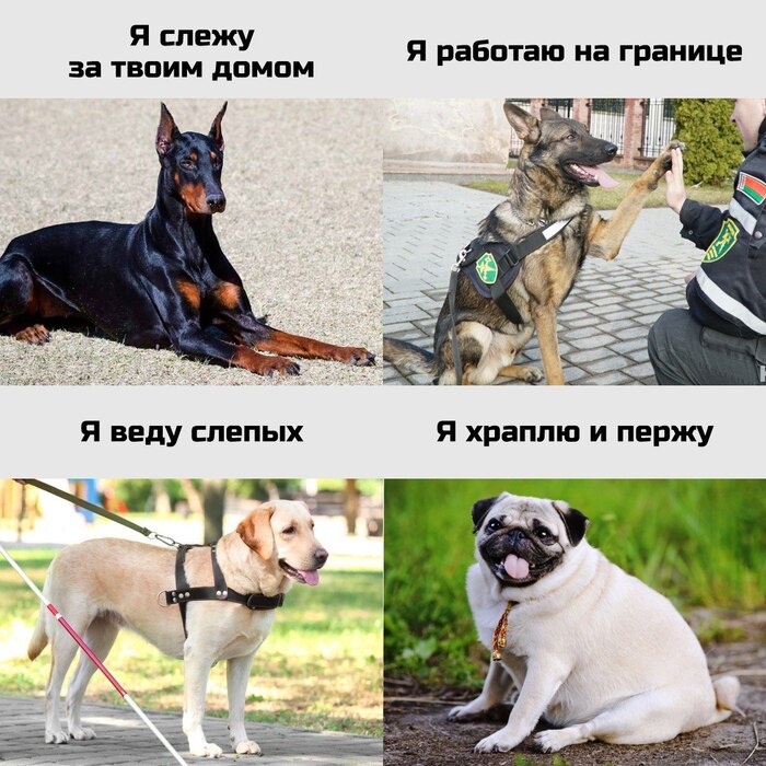      ,   , , 