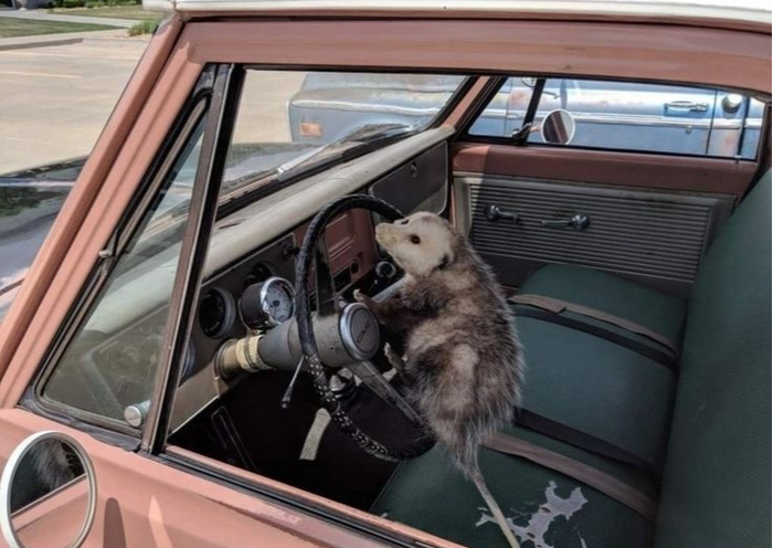 Нет времени объяснять! Поехали!!!