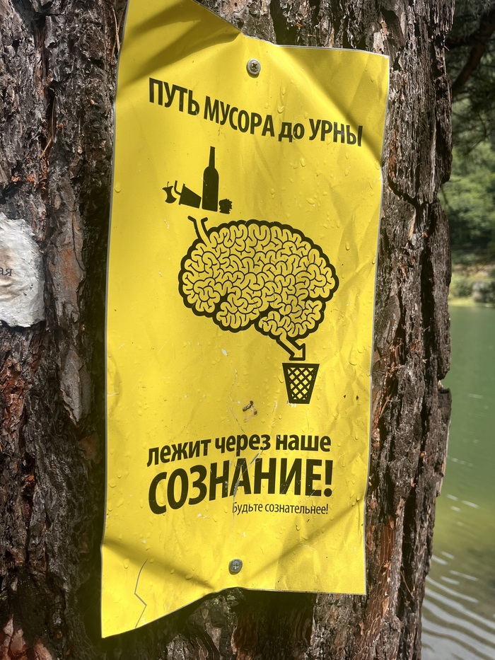 А ведь правда)