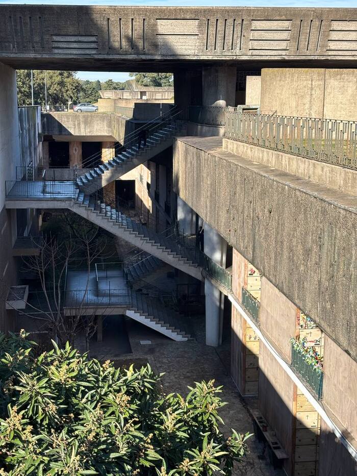 Выглядит загадочно, как во вселенной Лары Крофт, только с кучей зелени