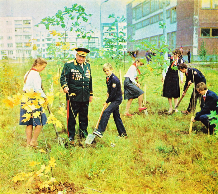   8     .  , , 1986 .  . . 