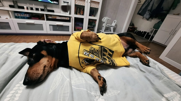 �� � ������ ��� ��� ����� �������