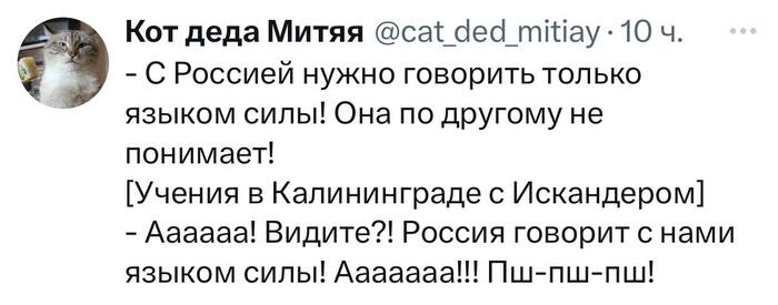 ������� ���������