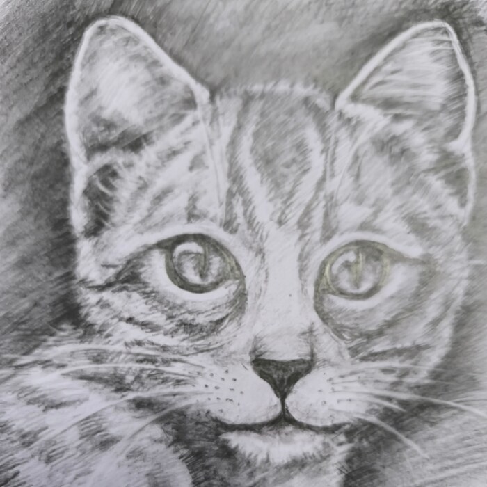 Рисую карандашом