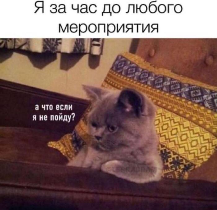 Я не опаздываю, я принимаю важное философское решение — существовать сегодня в обществе или нет