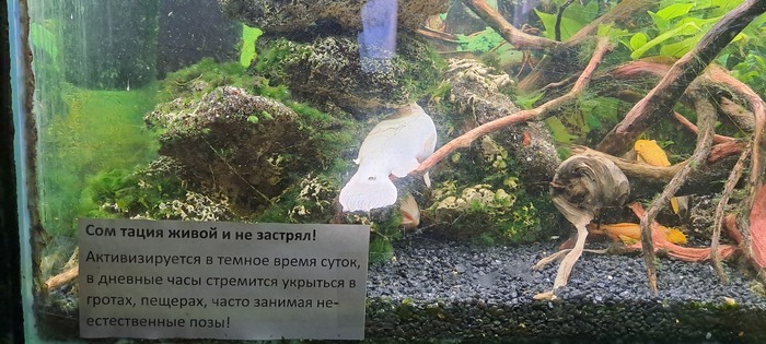    " " &#x1F600;  .