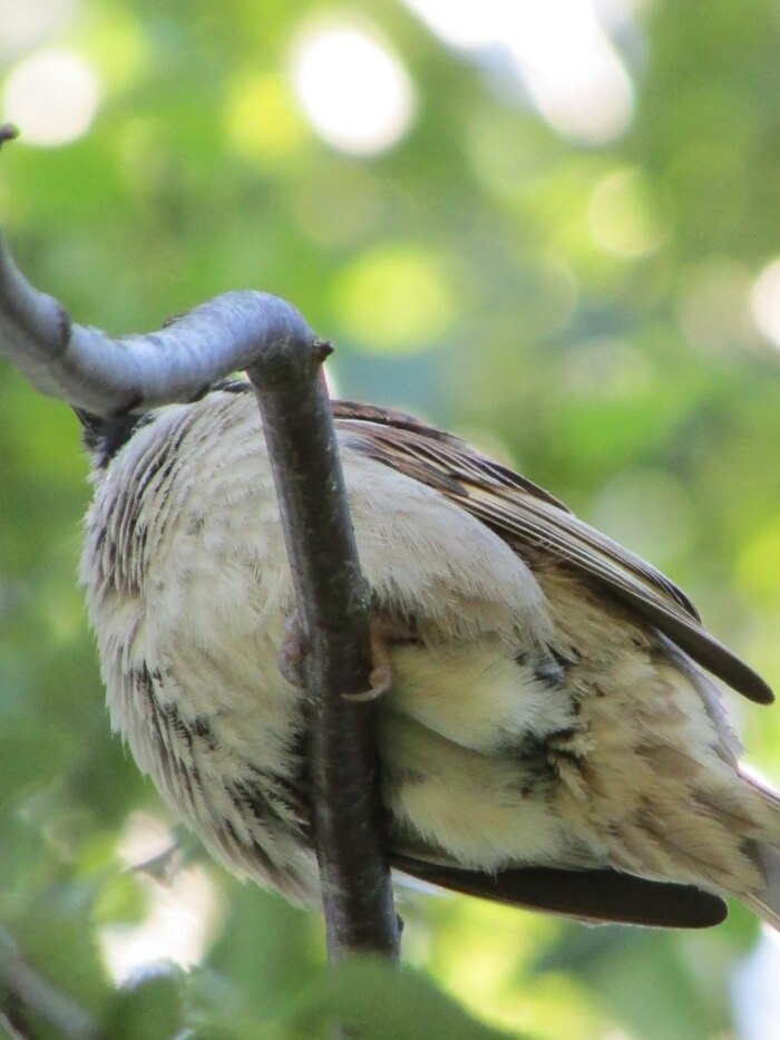 ���������� ���� - ����� ��� ���, ��� �������� �� �����, �������:) �������, ���� ���� ���������� �������� � ���� ����, ���