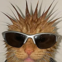 neizvestnyyktoto