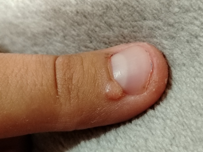      ,   , , 