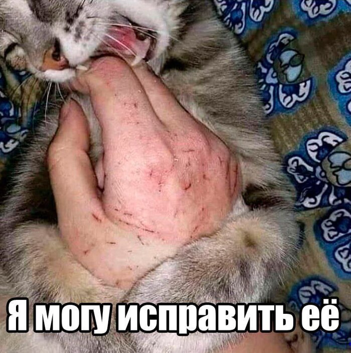      ...   , ,  , Telegram (), , , 