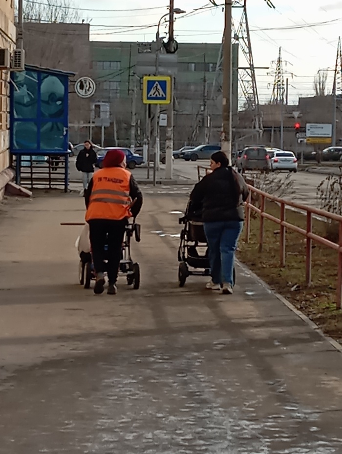 ����� ������ �� ��� ������