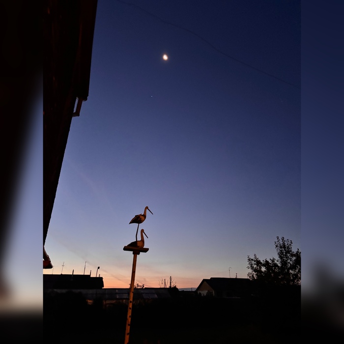 ������ ����!