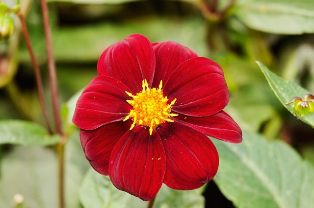 Душа завяла бы без них... Как сказал поэт. И я согласна.