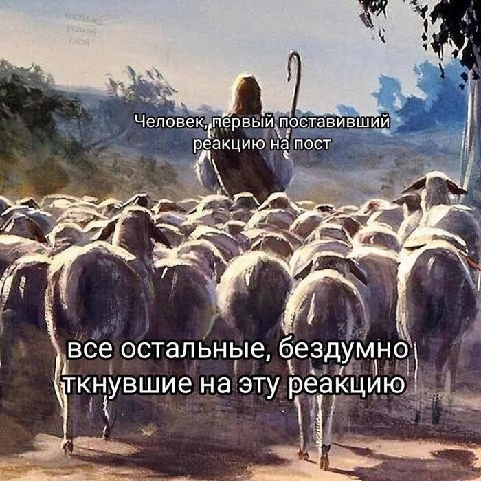 � ������ ��� ������� �������...