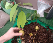 ��������� �������