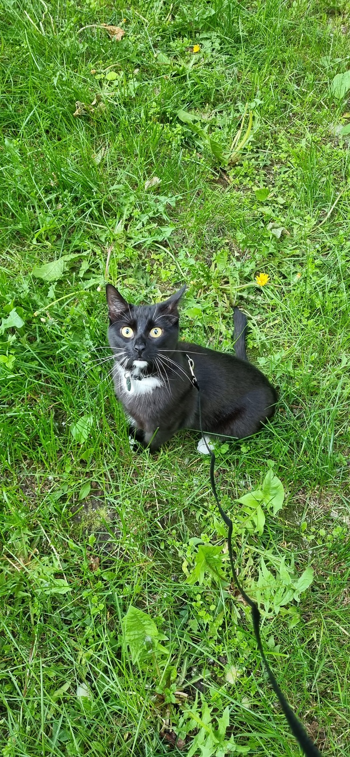 Первый раз на улице