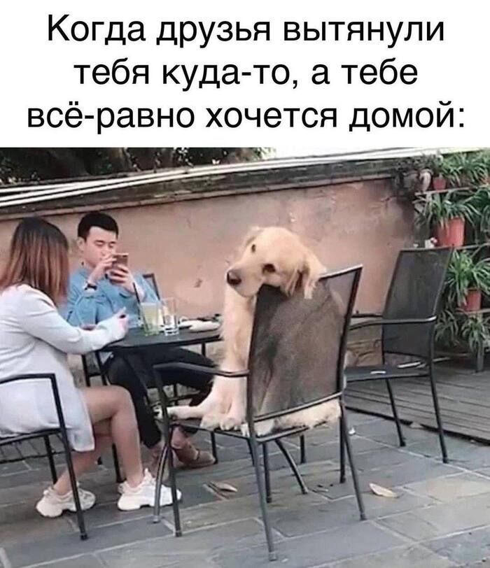 ������� �� ��������������