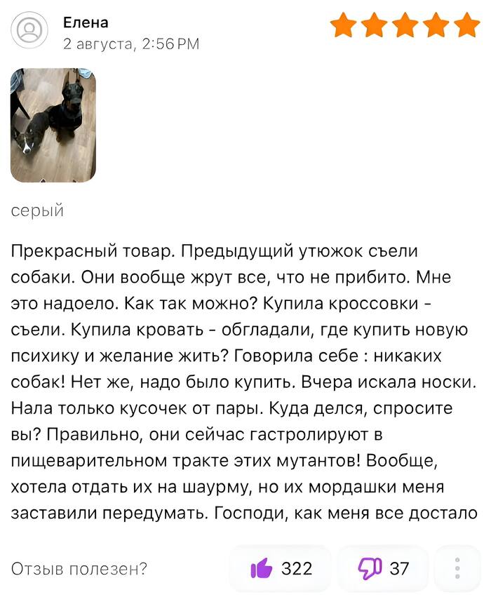   , Telegram (),   , , , 