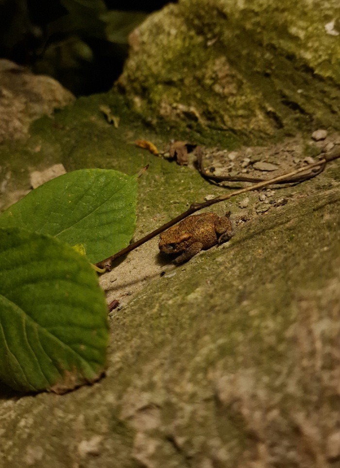 � ������, ��� ������ � ������!