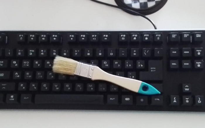 Кисточка очень полезная вещь для наведения чистоты на столе. Её можно чистить клавиатуру и смести пыль с фигурок и дисков