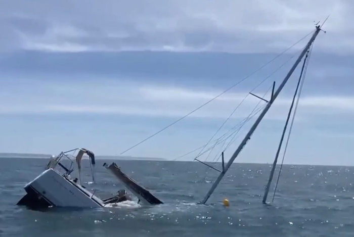 Косатки потопили очередную туристическую яхту