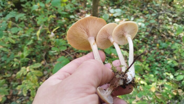   , , ,  , , 
