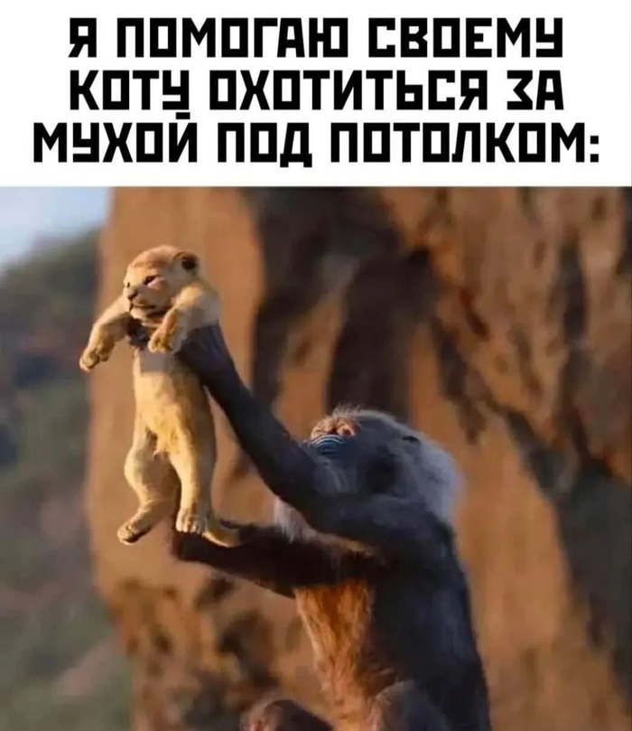 Аллергия на насекомых
