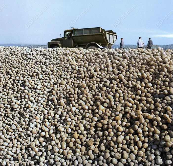Фотограф: Всеволод Тарасевич Фотограф: Всеволод Тарасевич