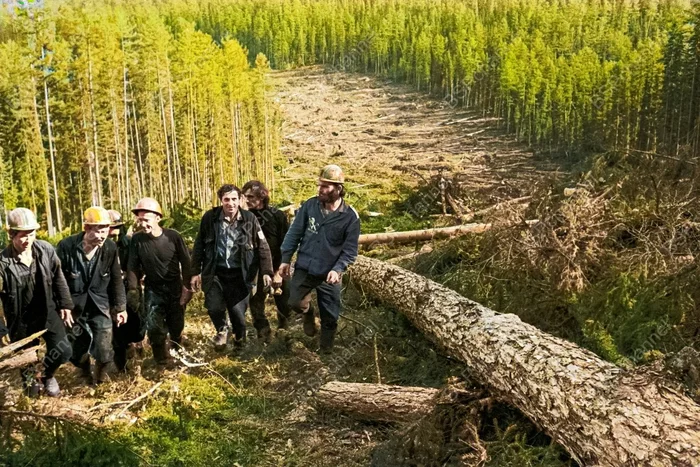 Фотограф: Валерий Христофоров Фотограф: Валерий Христофоров