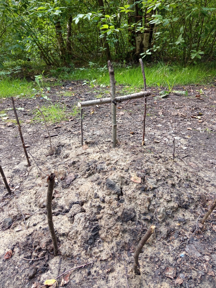 Ответ на пост «Кладбище домашних животных»