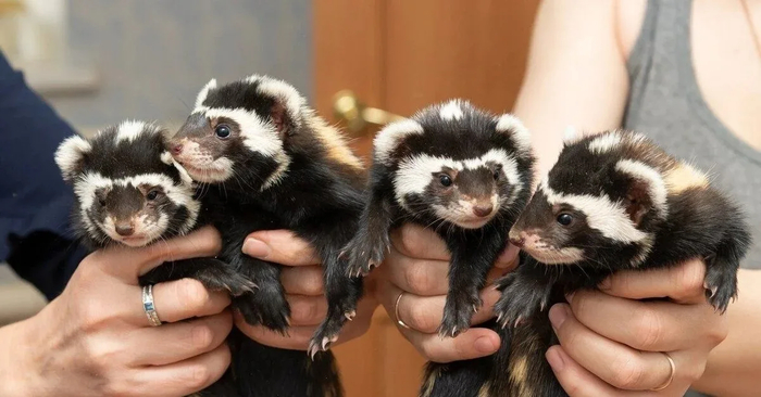 ��������� ���������!