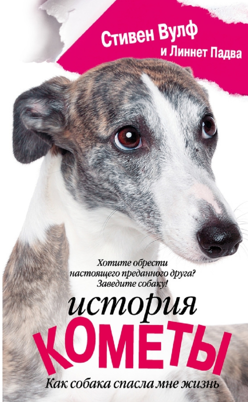 On illness, friendship, and the will to live: Stephen Wolfe and Linnet Padva's The Comet Story - My, What to read?, friendship, Disease, Fight, Dog