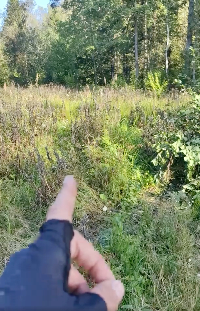 Туда не хотелось, но разведкой тоже заниматься не хотелось.