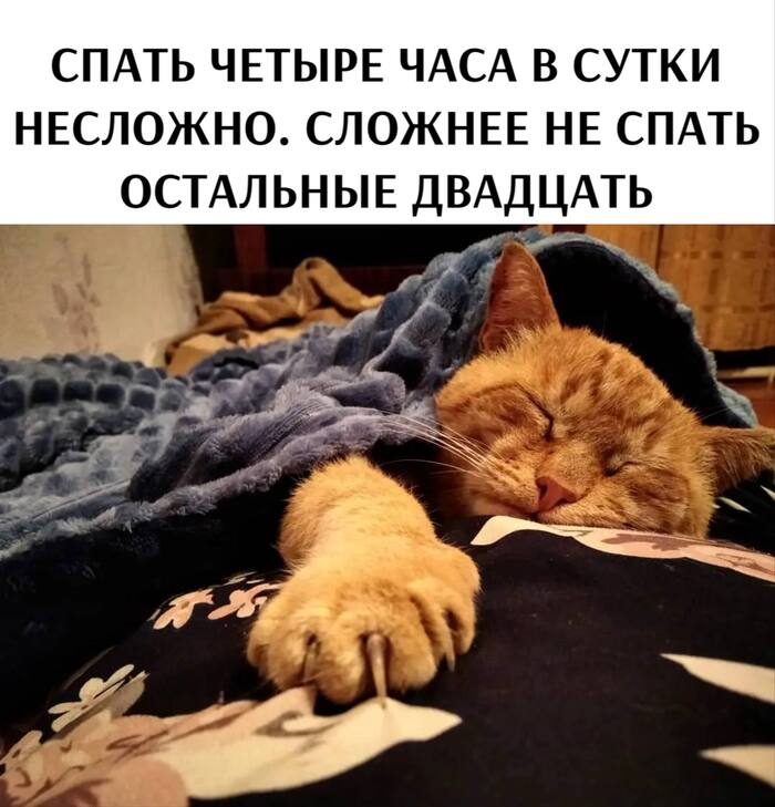  "" ,   , , , Telegram ()